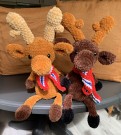 Miles the mindful moose - Kosedyr  thumbnail